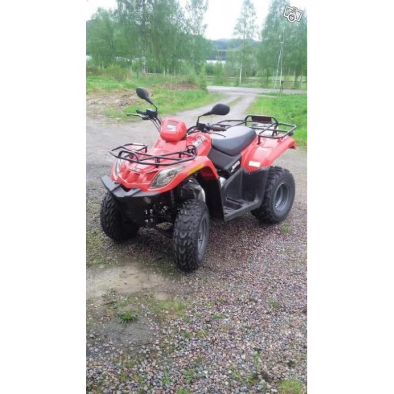 Arctic cat 250i -06