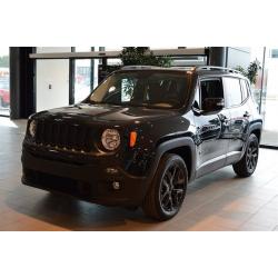 Jeep Renegade 1.6 E-torq 110hk 2WD DAWN OF JU -16