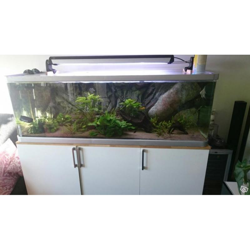 Välvt akvarium 570l