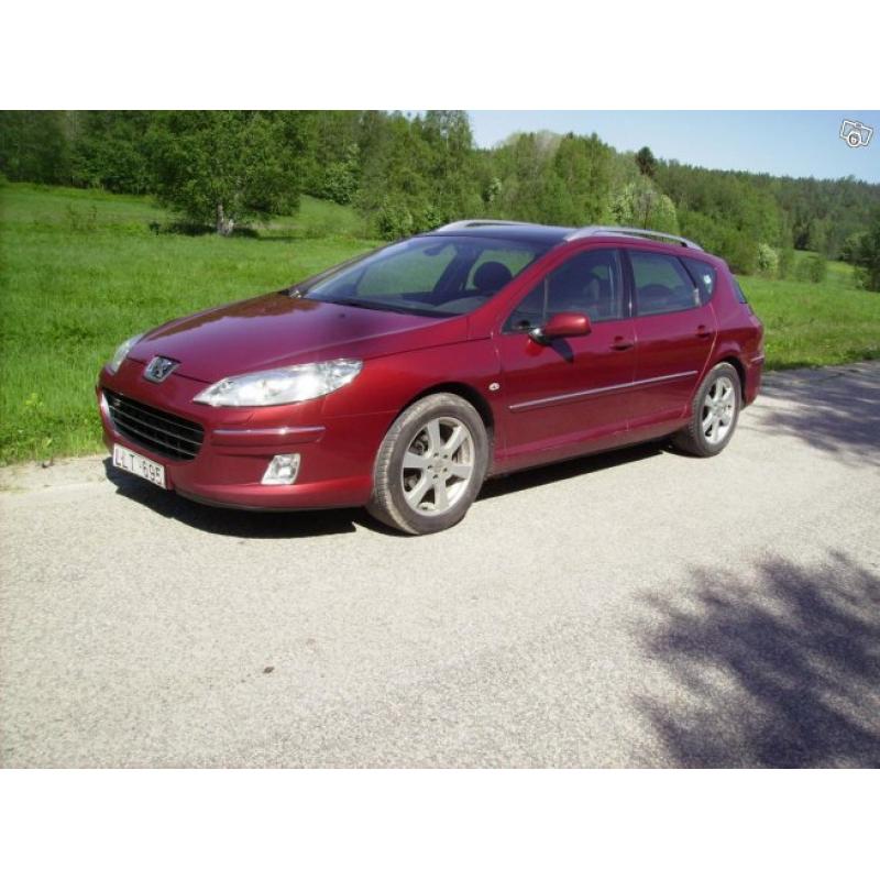 Peugeot 407 sw HDI -08