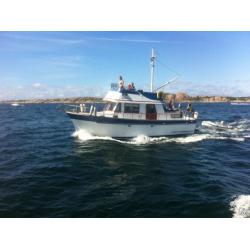 Albin 33 Trawler