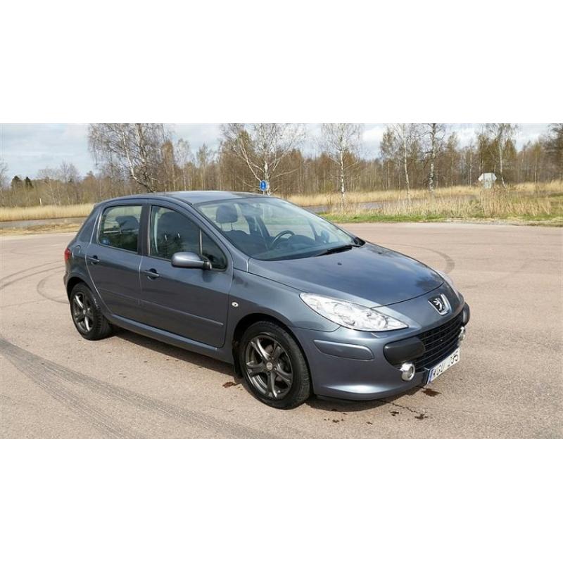 Peugeot 307 1,6 XS 5dr Mkt Fin -06