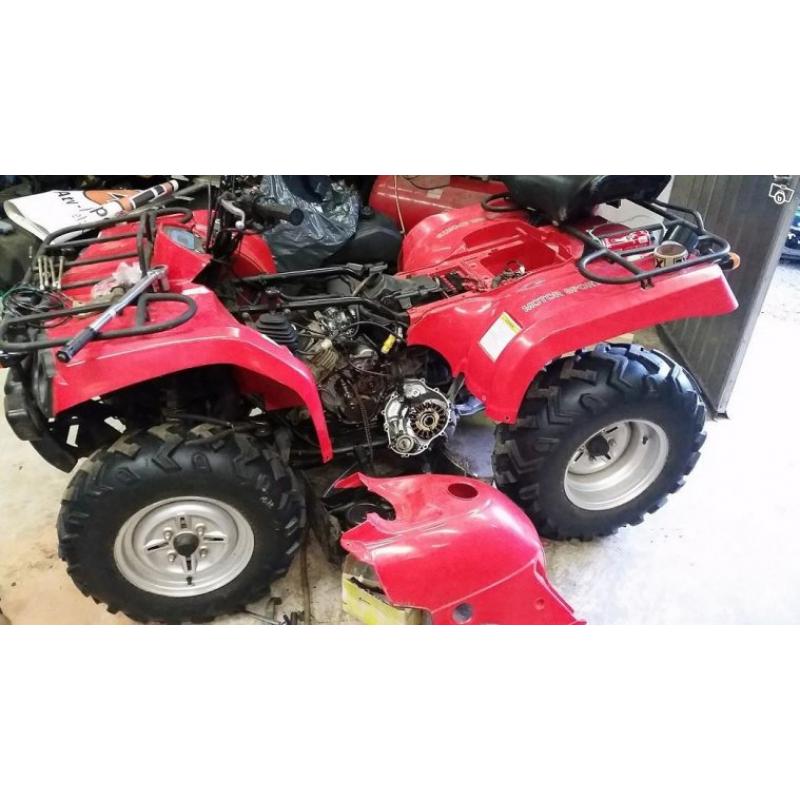 ATV Hisun 400 (Grizzly) 2006 SKROTAS