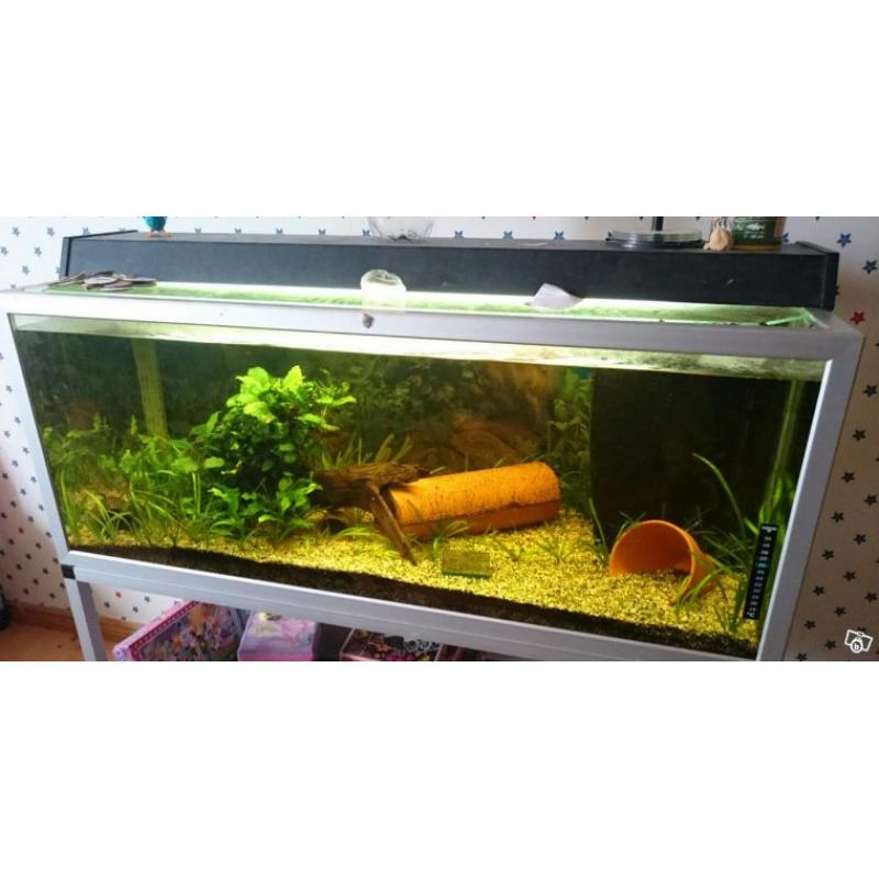 Akvarium 220 l